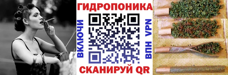 Купить закладку Кокаин  Амфетамин  Псилоцибиновые грибы  Конопля  КЕТАМИН  Гашиш  Меф  Можга